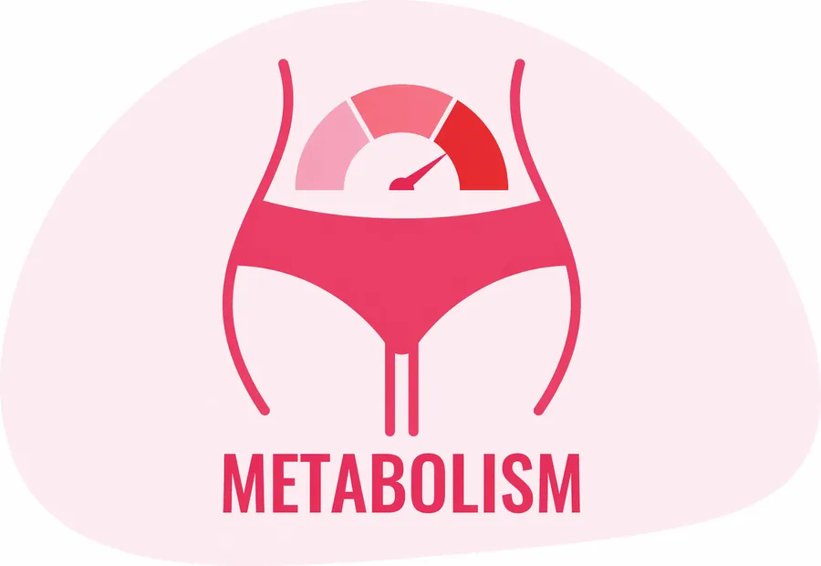 JellyThin metabolism support graphic showing a waistline and a metabolism gauge